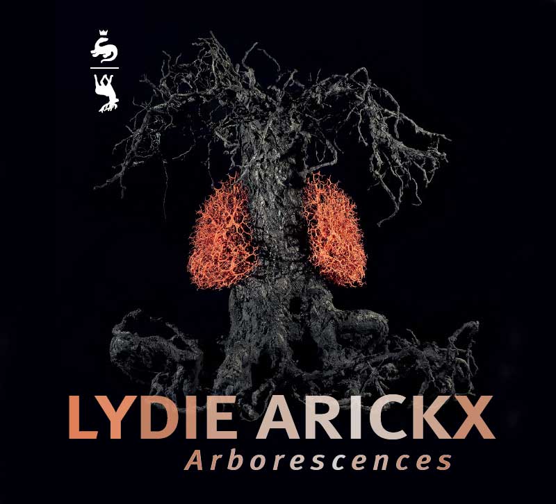 Lydie Arickx Arborescences Au Chateau De Chambord Artsixmic