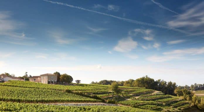 Vignobles K : Les terrasses du Château Tour Saint Christophe - Photo : DR